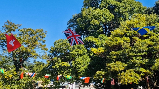 サンプルピックアップ