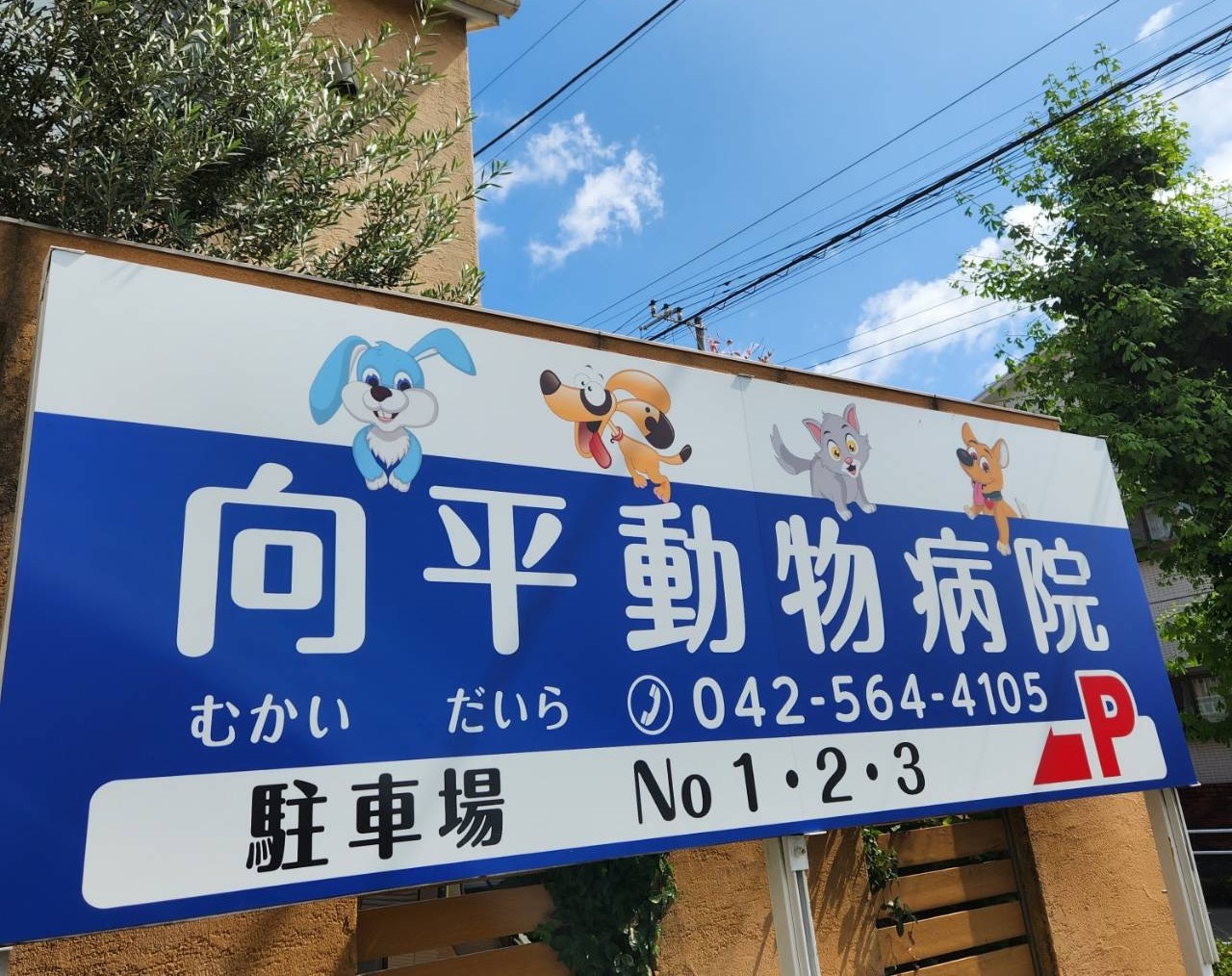 向平動物病院